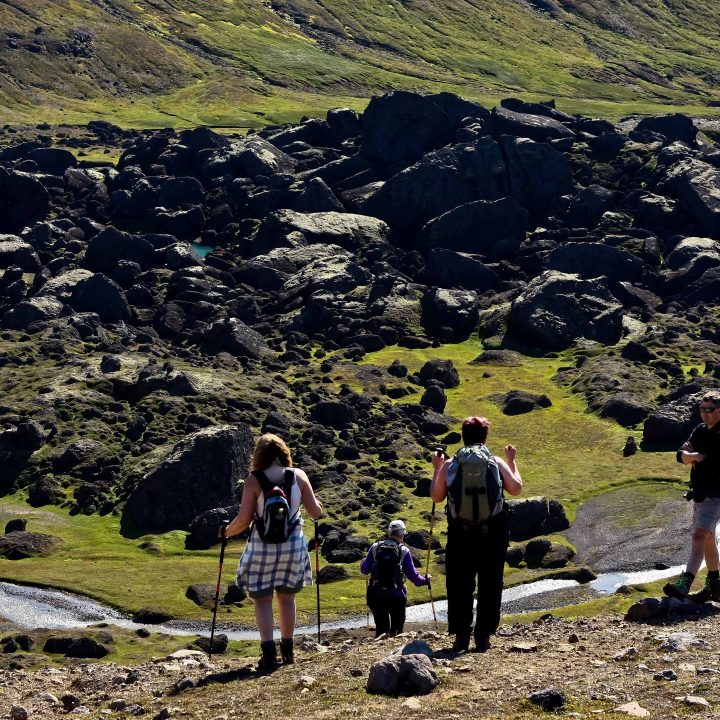5 Day Tour – The Capital of Hiking Borgarfjörður East Iceland